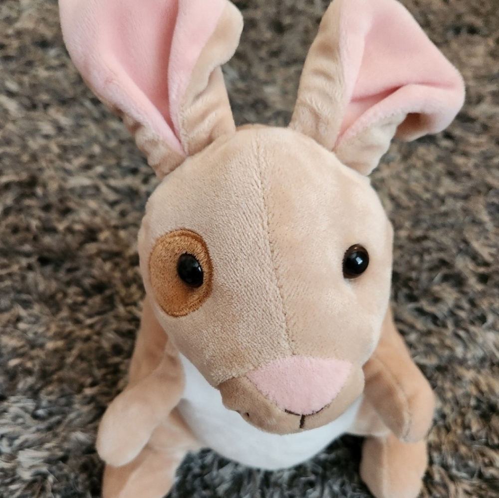 The Velveteen Rabbit Kohl's Cares Stuffed Animal Plush Bunny Teacher Book Buddy